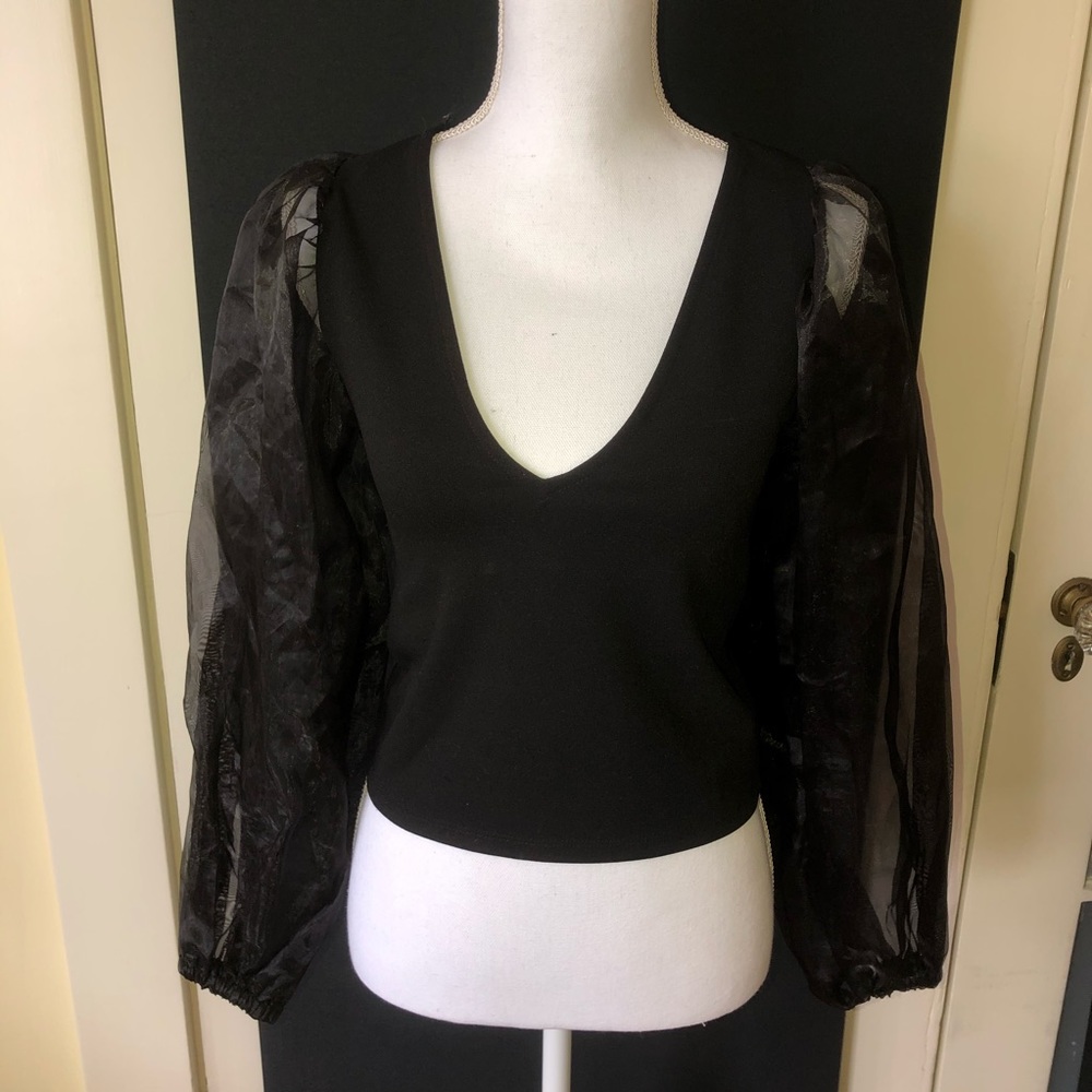 Zara Sheer Long Puff Sleeve Blouse